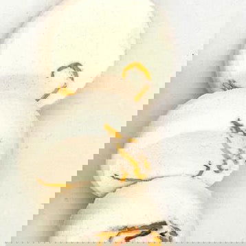 Shower Steamers - HoneyMist